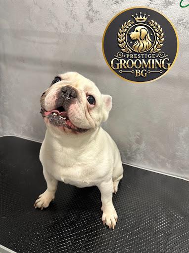 Pansioni za pse Prestige grooming